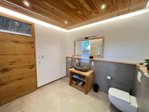 a bathroom with a white toilet and a mirror at Weinturmsruhe in Bad Windsheim +32 photos
