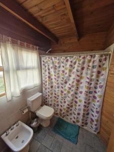 a bathroom with a toilet and a shower curtain at La Casa de Ale in San Martín de los Andes +20 photos