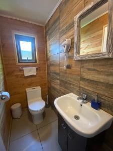 a bathroom with a sink and a toilet and a mirror at Cabañas Estacion del Lago in Puerto Varas +43 photos