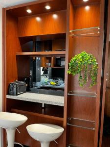 a kitchen with a counter with a plant at Sunset Providencia 2 in Santiago