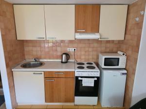 a small kitchen with a stove and a microwave at Apartment near center in Sarajevo +10 photos