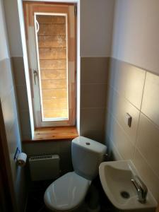 ein Bad mit einem WC, einem Waschbecken und einem Fenster in der Unterkunft Viesu Nams Vilhelmīne in Līgatne