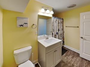 a bathroom with a white toilet and a sink at Put-in-Bay Waterfront Condo #103 in Put-in-Bay +12 photos