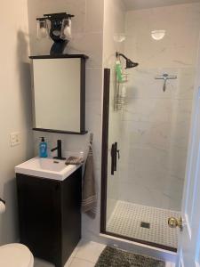 a bathroom with a shower with a sink and a toilet at Cozy Gurnee Home Near Six Flags and Base in Gurnee +14 photos