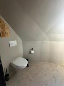 a bathroom with a white toilet in a room at Hálfkúla Goðafoss in Húsavík +8 photos