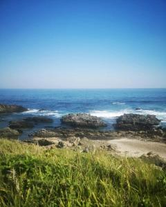 een strand met rotsen en de oceaan bij Tilde's Self-Catering in Gqeberha
