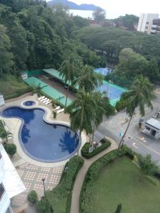 an overhead view of two swimming pools with palm trees at sri sayang apartment in Batu Ferringhi