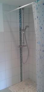 a shower with a shower head in a bathroom at Ferienwohnung Alte Brennerei in Brösa