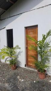 una casa con una puerta de madera y dos macetas en HYD Hostel Moalboal, en Moalboal