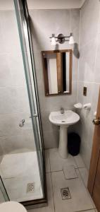 a bathroom with a sink and a shower at Monoambiente 12 in La Paz