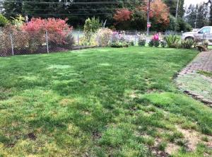 Fotografie z fotogalerie ubytování Cozy Forks getaway house v destinaci Forks