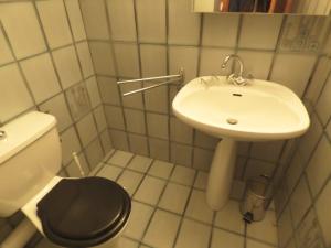 a small bathroom with a toilet and a sink at Duplex 3 pièces aux pieds des pistes - 8 pers - FR-1-458-250 in Le Chinaillon +11 photos