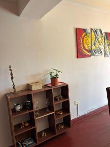 a book shelf with a potted plant on top of it at Cómodo departamento centrico a metros de la Catedral in San Fernando del Valle de Catamarca