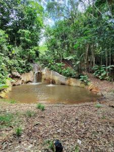 a small pond with a waterfall in a forest at Hotel Banyan in Puerto Triunfo