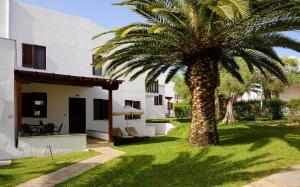 a palm tree in a yard next to a house at Trikorfo Beach in Gerakini