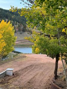 a dirt road with a tree next to a lake at Beautiful Rocky Mountain Home with views on 1 acre in Divide