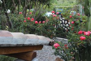 Zahrada ubytování B&B Chorisia