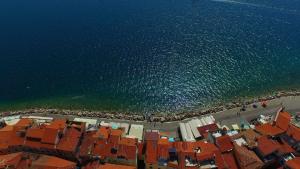 Gallery image of Apartments & Rooms Riva in Piran +20 photos