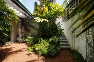 a stairway with a bunch of plants next to a building at Jetwing Ratnam Residence in Colombo +27 photos