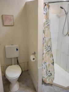 une salle de bain avec toilettes et rideau de douche dans l'établissement Corella Accommodation 1E, à Boulder 25 autres photos