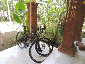Катание на велосипеде по территории Tegal Jero Homestay или окрестностям