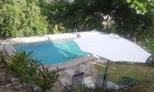 a swimming pool with an umbrella in a yard at Seachange Lodge in Port Vila