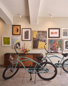 Φωτογραφία από το άλμπουμ του The Ambassador of Waikiki, Tapestry Collection by Hilton στη Χονολουλού