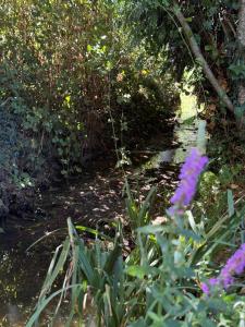 Galeriebild der Unterkunft Roulotte nature et bain nordique privé à deux in Forges