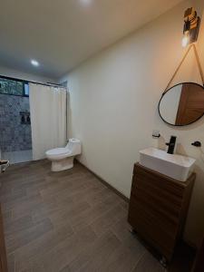 a bathroom with a sink and a toilet and a mirror at El Olivo Atemajac Cabaña in Atemajac de Brizuela