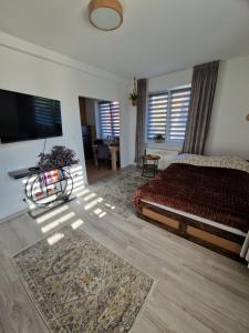 a bedroom with a bed and a flat screen tv at Bajkowe Studio Magdaleny 12 in Olsztyn