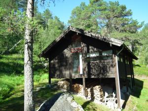 a small shack in the middle of a forest at Haukedalen Hytter in Viksdalen