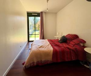 a bedroom with a bed with a cat laying on it at Superbe appartement terrasse Chantilly Bois saint Denis in Gouvieux