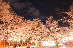 Fotografie z fotogalerie ubytování The Evergreen Hostel 長期ステイ歓迎 エバーグリーンホステル v destinaci Hirošima
