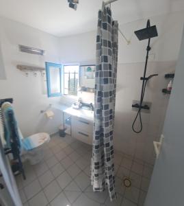 a bathroom with a shower and a toilet and a sink at 5 min du village de Noël Barcarès mas de pêcheurs 8 couchages tout confort in Le Barcarès