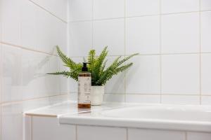 a bottle of soap and a plant on a counter in a bathroom at Penthouse Apartment - 10 min to Cologne & Parking in Hürth +21 photos
