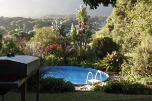 a swimming pool in the middle of a garden at Kairos Lodge in Hout Bay