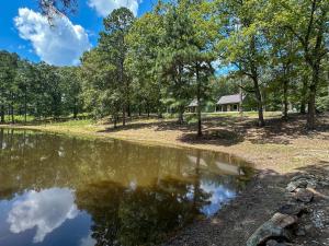 The Cabins at Northwoods Trails في هوت سبرنغز: منزل في الغابة بجوار تجمع للمياه