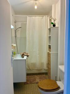 a bathroom with a toilet and a sink and a shower at Studio lumineux, 10min de Paris in Issy-les-Moulineaux