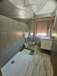 a bathroom with a toilet and a sink at Ruralna kuća za odmor Lika in Lovinac +39 photos