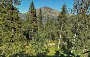 a mountain in the middle of a forest with trees at 3 Bedroom Beautiful Home In Tynset in Tynset