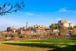 a town on a hill with a green field at Appartamento Le Nuvole da Davide e Romina in Santarcangelo di Romagna