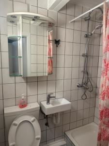 Ένα μπάνιο στο Ferien & Monteur Wohnung 1 - Little Afrika Extensive 5 Zimmer Wohnung +76 φωτογραφίες