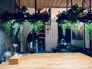 a room with a table with plants on it at Apartament Przystań in Wągrowiec
