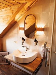 a bathroom with a sink and a mirror at Das Max & Fritz in Wegscheid