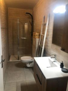 ein Badezimmer mit Dusche, Toilette und Waschbecken in der Unterkunft EDEN-RÉSIDENCE Le CURAÇAO Vue Mer et Piscine in Sainte-Luce