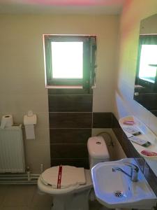 ペトロシャニにあるPensiune Restaurant Casa Sofiaのバスルーム(トイレ、洗面台付)、窓が備わります。