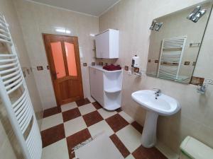 a bathroom with a sink and a toilet and a mirror at Cabana Muntele Paltinei in Muntele Rece +10 photos