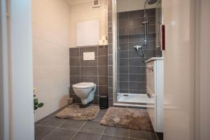a bathroom with a toilet and a shower with mats at Apartmán Palackého in Tábor