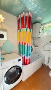 a washing machine in a bathroom with a shower curtain at Blueberry Mountain House in Žabljak +15 photos