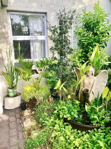 a garden with a statue and plants in front of a window at Eagles Nest in Kirstenhof